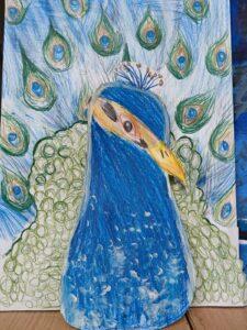 Kolorowa praca plastyczna przedstawiająca pawia z rozłożonym ogonem, wykonana kredkami przez dziecko