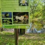 Tablica edukacyjna przedstawiająca różnorodność roślinną ogrodu